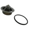 Thermostat Kit RP026002F<PCM New