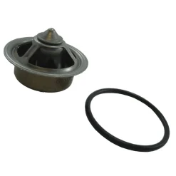 Thermostat Kit RP026002F<PCM New